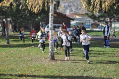 cross billom2010 015